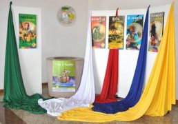 campanhamissionariapainel