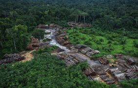 Foto: Ibama/Fotos Públicas