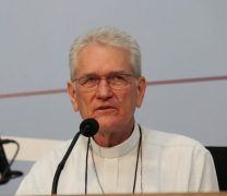 dom-leonardo-53agcnbb