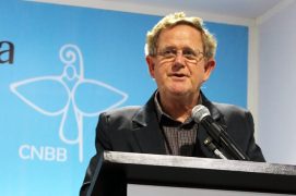 dom_werlang_reproducao