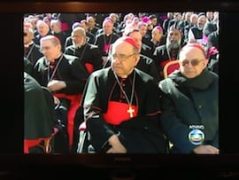 domdamasceno.audiencia