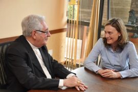 domgeraldo_mindirhumano