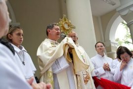 dominacioflachcorpuschristi20121