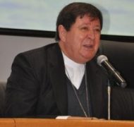 domjoao2012