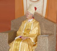 domluizmajelladelgado