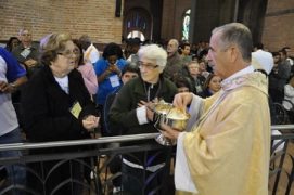 dompetrinijoaocarlos