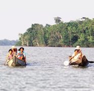 formmissionariaamazonia