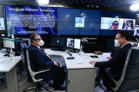 Debate ocorreu de forma virtual | Foto: Roque Sá/Agência Senado