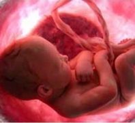 nascituro-1-300x272