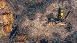 nota-pl-da-devastação (2) nota-pl-da-devastação (2)