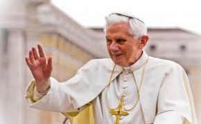papaemcuba