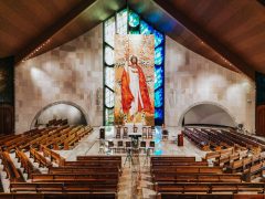 photo_4969775266465426954_y