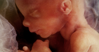 portal-nota-dia-nascituro