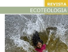 revista