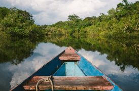 rio - amazônia