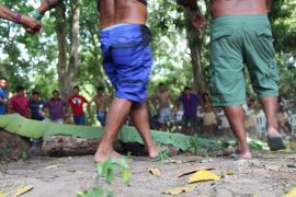 roda-indígenas-Repam