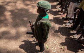 sudao-e1531478409424