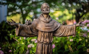 Tacho Dimas by Cathopic